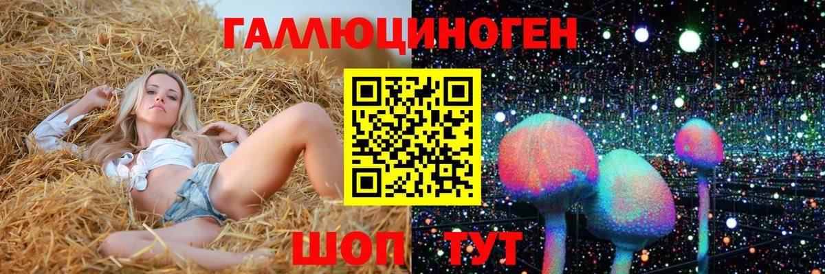 Ярославль  Псилоцибиновые грибы Magic Shrooms  Вход с VPN 